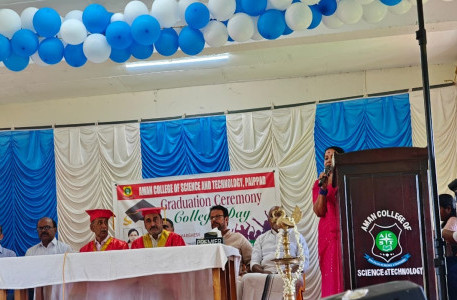 Aman College